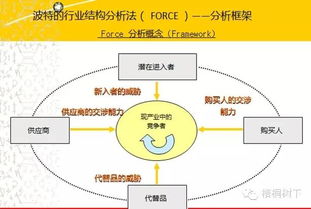 夏草財(cái)務(wù)分析深度解析 洞悉企業(yè)真實(shí)價(jià)值的必備指南